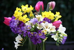 desktop-wallpaper-flowers-tulips-narcissussi-bouquet-vase-sia.jpg