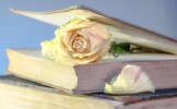 rose-book-old-book-blossom-bloom-rosenblatt-used-old-book-pages.jpg