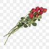 pngtree-love-marriage-romantic-rose-bouquet-natural-bloom-png-image_2636999.jpg