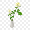 pngtree-natural-plant-white-rose-png-image_3264568.png