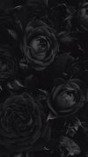 desktop-wallpaper-black-soul-iphone-rose-blackrose-black-aesthetic-black-phone-black-roses.jpg