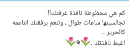 Screenshot_٢٠٢٣-١٠-٣٠-٠٩-١٤-١٧-٣٤١_com.android.chrome-edit.jpg