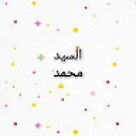 السيد محمد